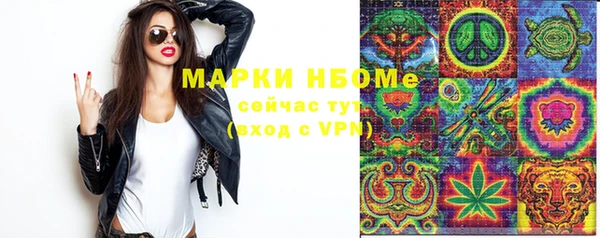 сатива Михайловка