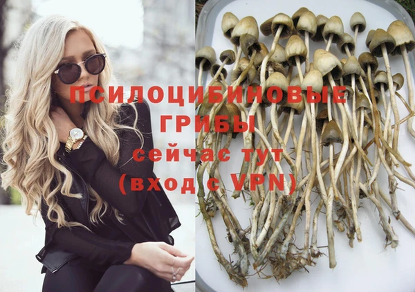 мет Михайловск